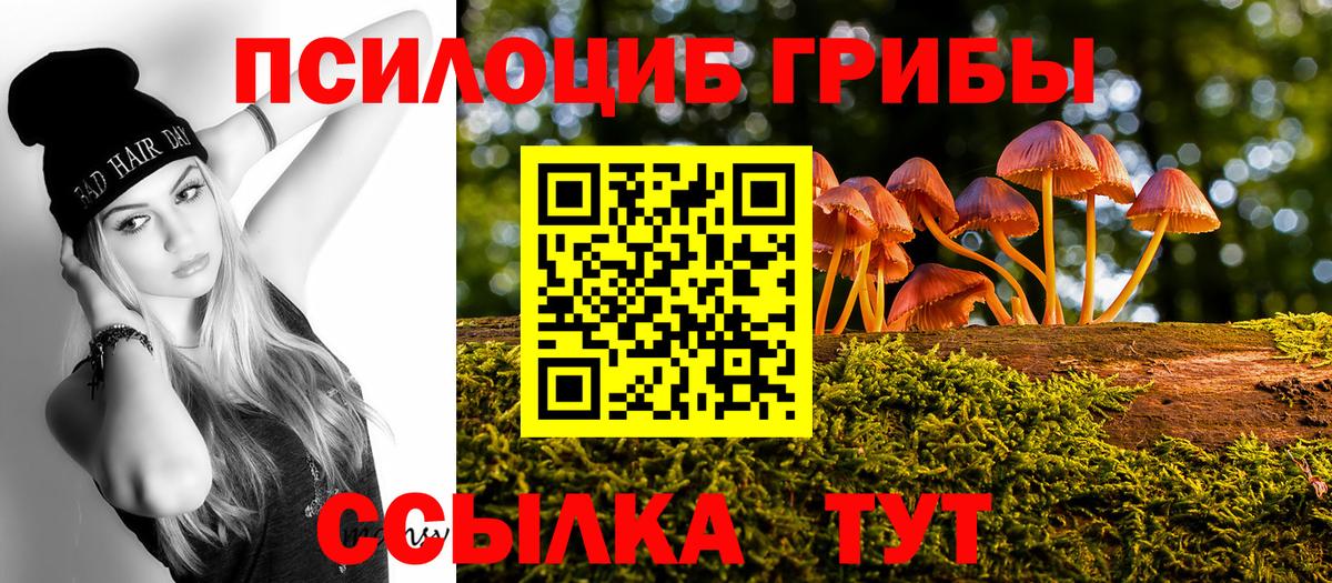 Галлюциногенные грибы прущие грибы  Вход с VPN  Карачаевск  Псилоцибиновые грибы Psilocybine cubensis 
